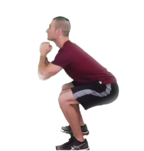 squat exercise